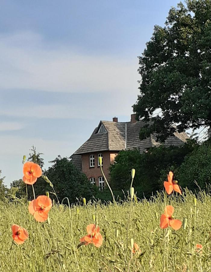 Ferienwohnung Ehemalige Revierfoersterei "Morgensuenn" Kuhstorf Exterior foto